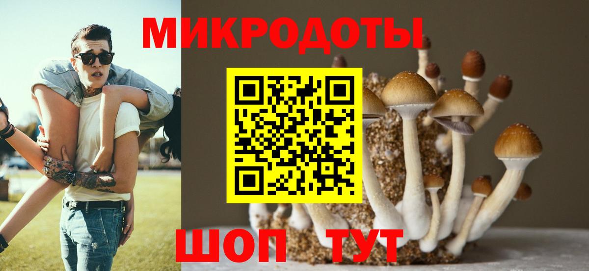 Галлюциногенные грибы Psilocybine cubensis  Вход с VPN  Корсаков 