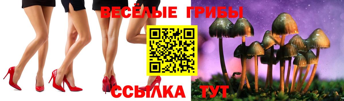 Галлюциногенные грибы ЛСД Корсаков